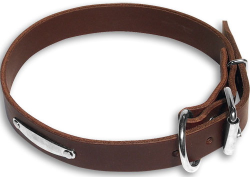 Leather dog collar with id tag